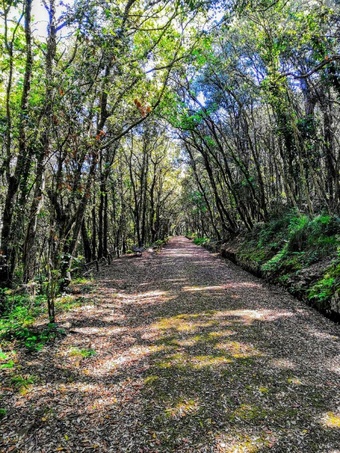 Il Giardino Dei Limoni Daire Gaeta Dış mekan fotoğraf